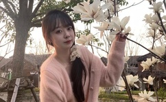 樱花影院电视剧免费吃瓜